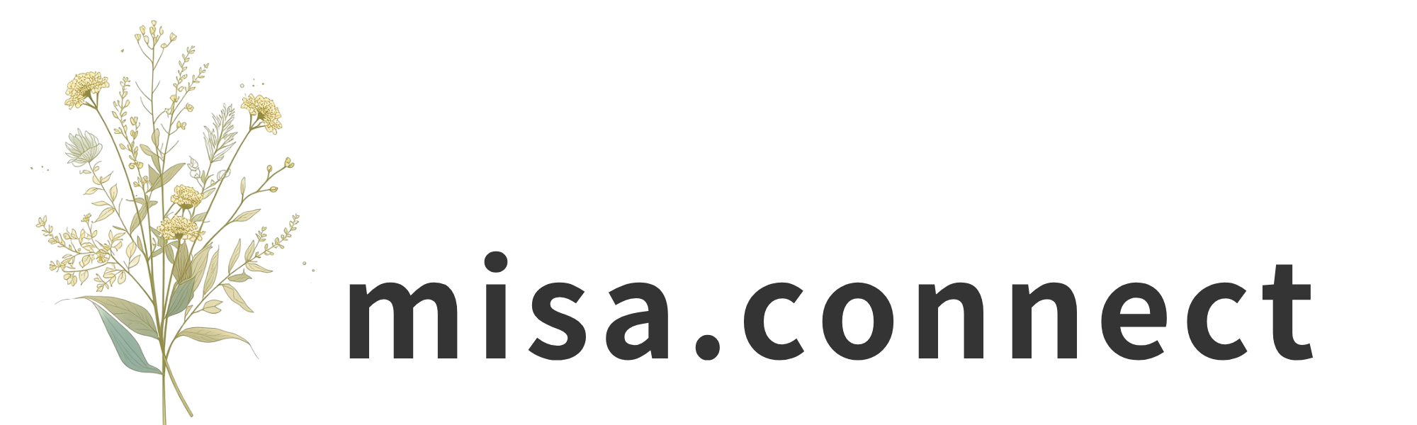 misa..connect